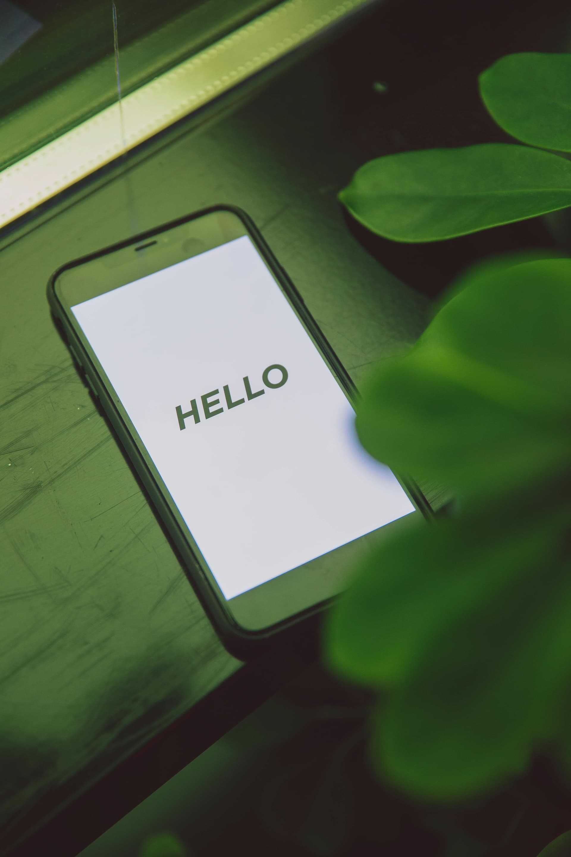Comunicación verde: inspira, educa y transforma - Artículo de blog de Maco&Co sobre comunicación estratégica y empresarial