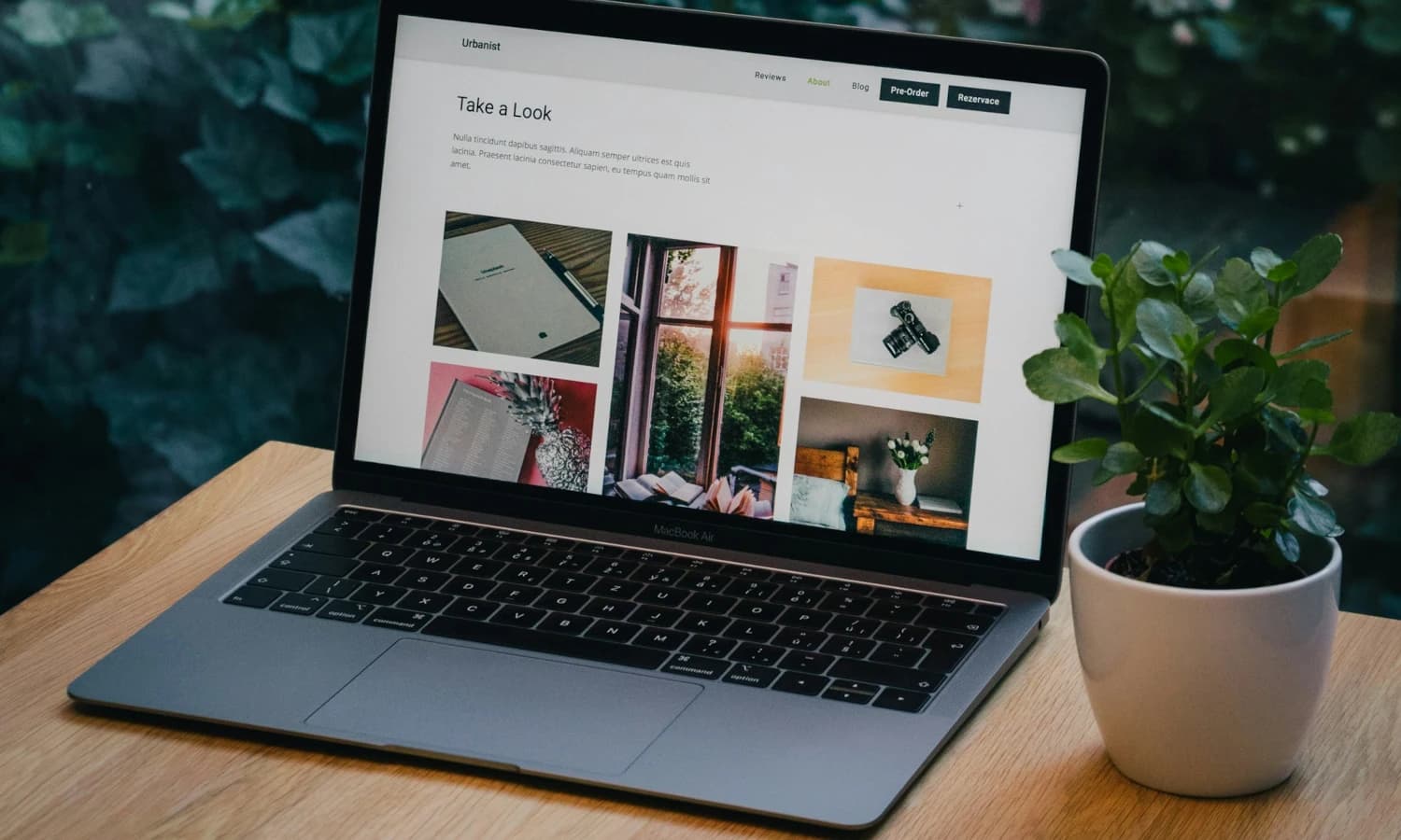 Digital Inside - Maco&Co lanza auditoría de webs gratuita para el posicionamiento en búsquedas de IA